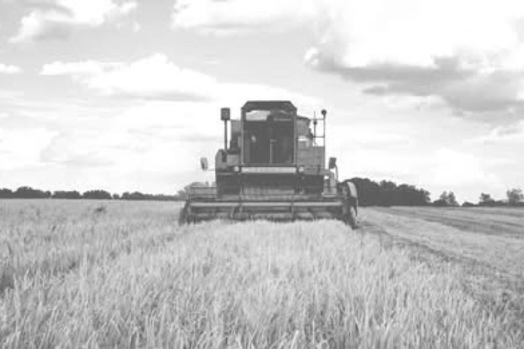 farm tractor auction