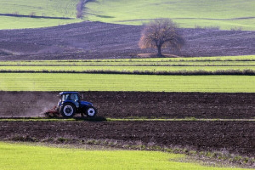 farmer field protest