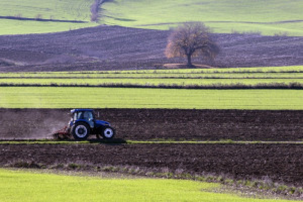 farmer field protest
