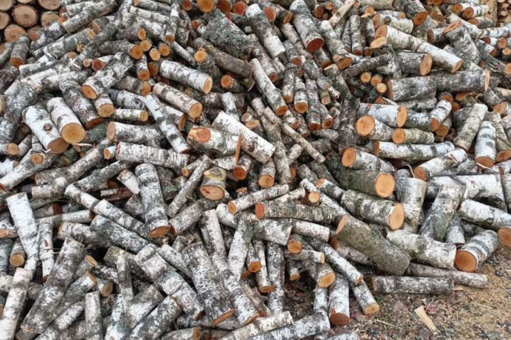 firewood pile