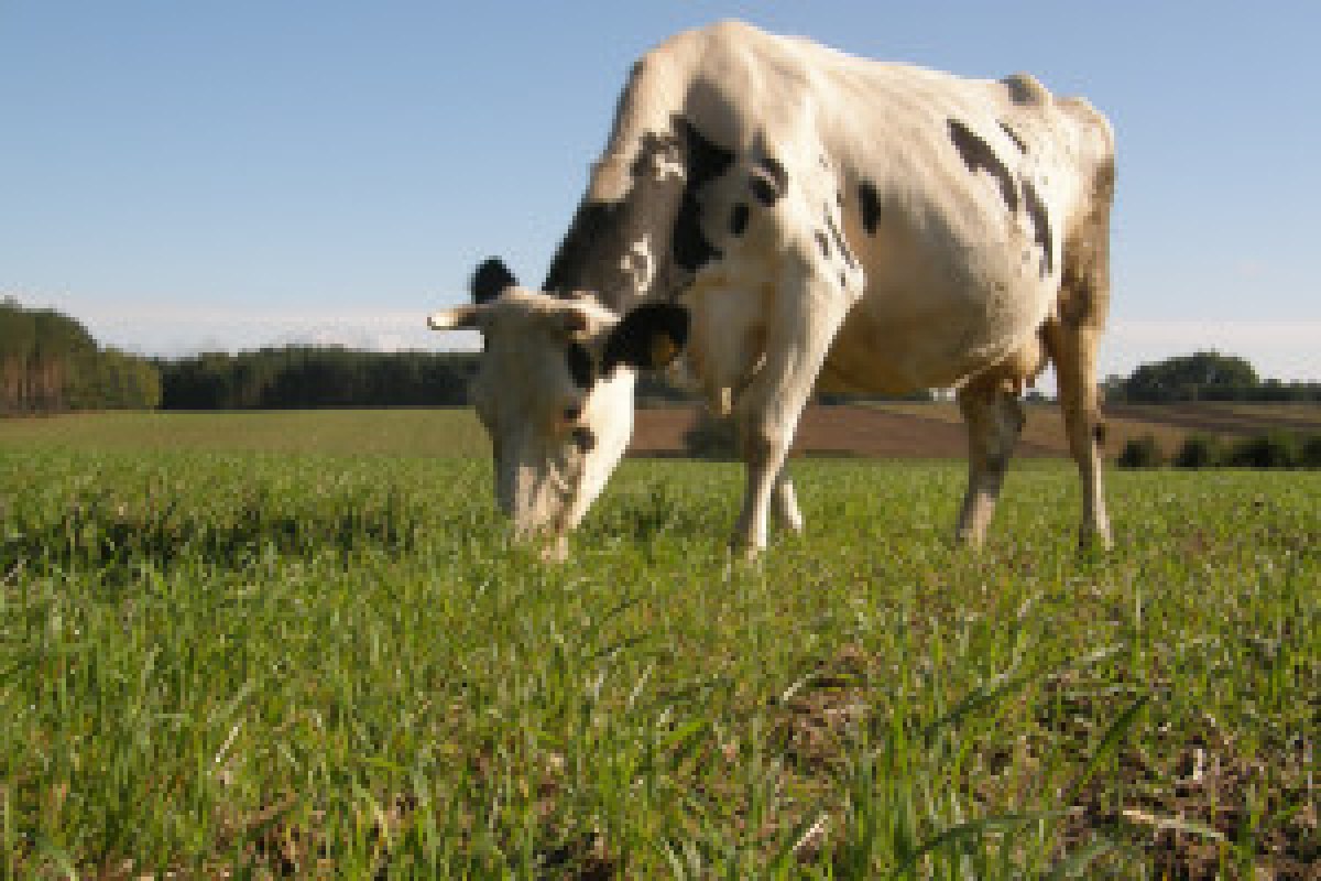 farmer fueling tractor