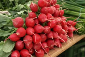 fresh spring vegetables market