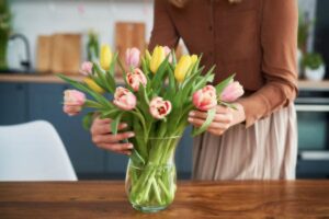 fresh tulips vase