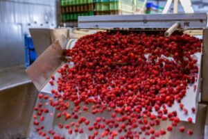 fruit processing factory