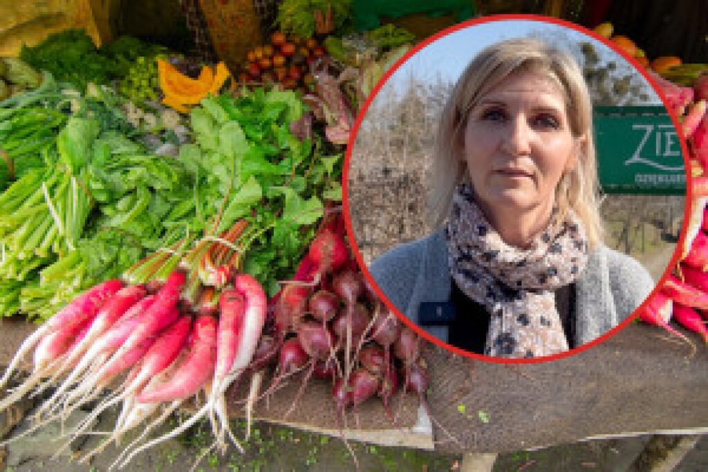 organic farm vegetables