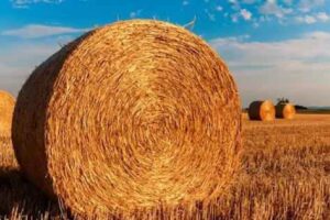 straw bales