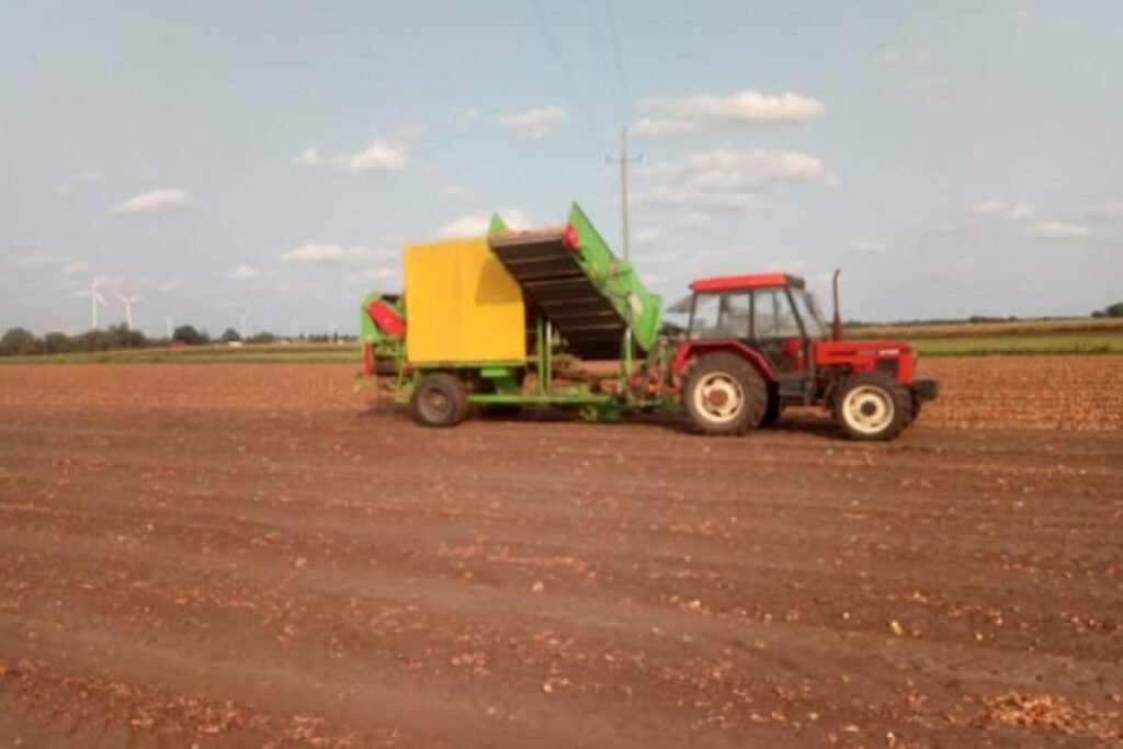 potato harvester