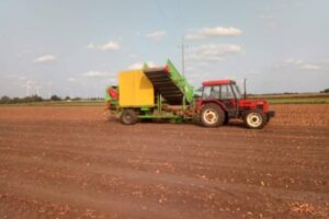 potato harvester