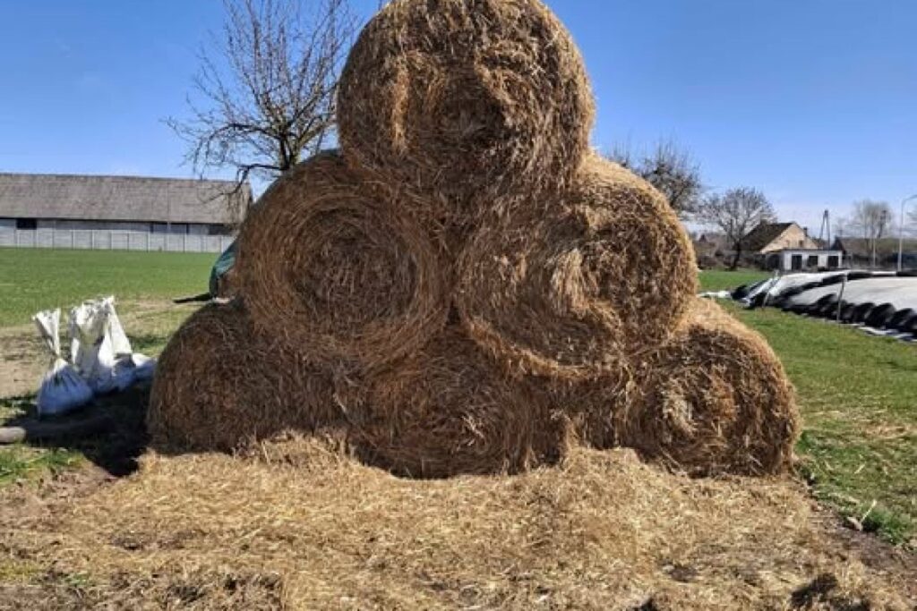 straw bales