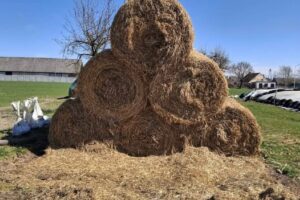 straw bales
