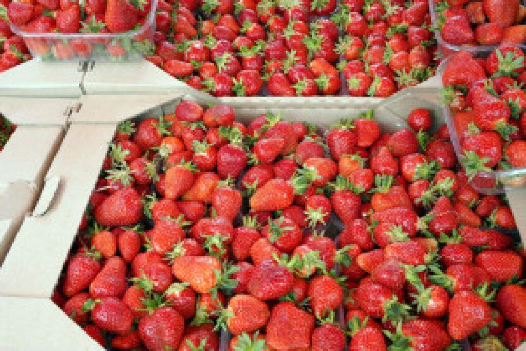 strawberries market