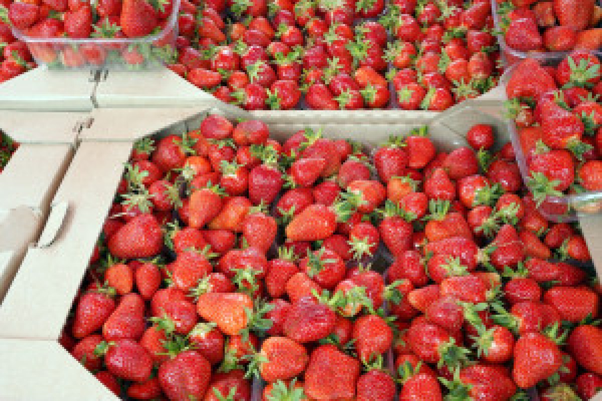 strawberries market