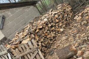 chopped wood pile