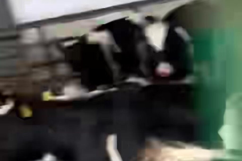 animal holding facility