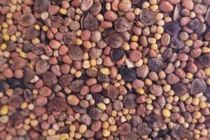 seeds mixture bag