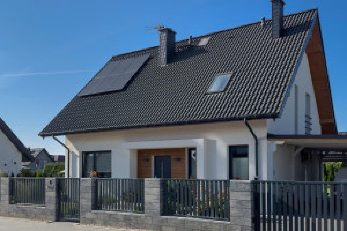 house inspection official