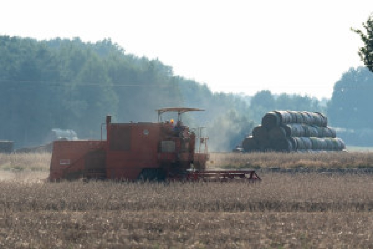 used combine harvester field