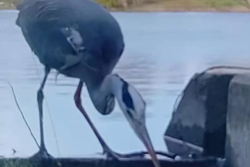 agricultural machinery