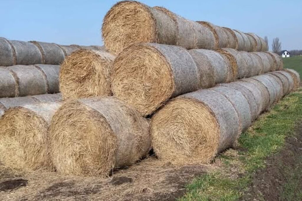 straw bales