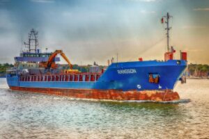 sunflower field harvest