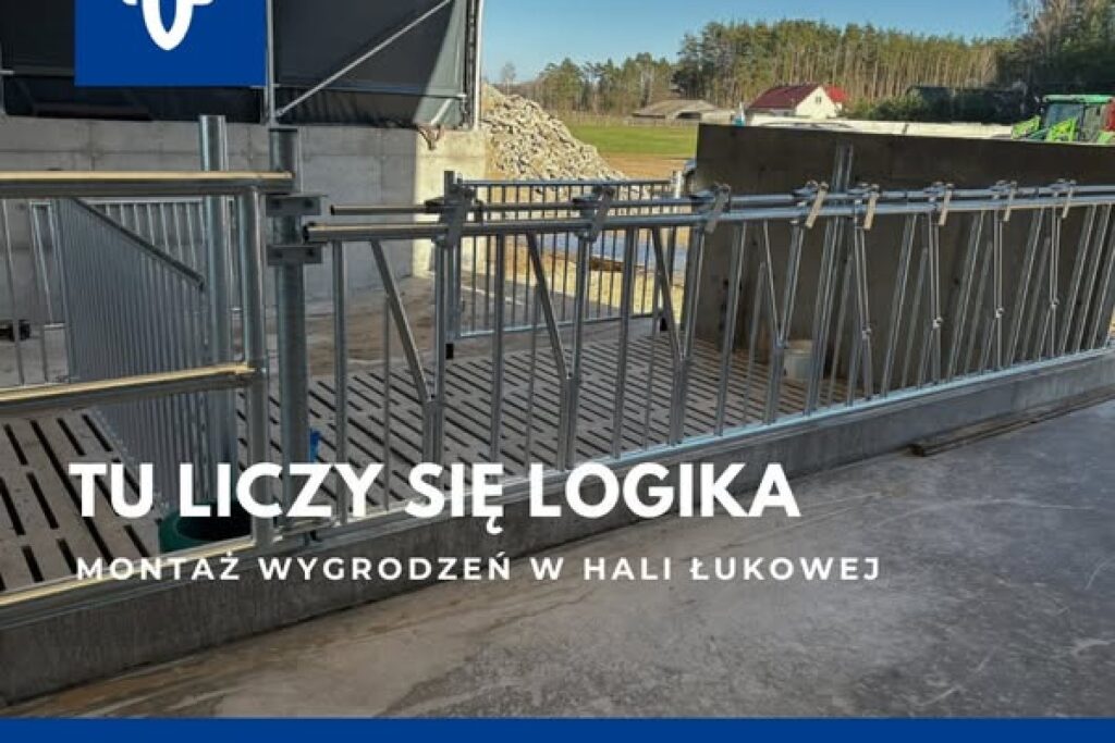 cattle barn construction