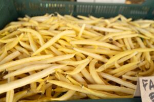 fresh asparagus beans