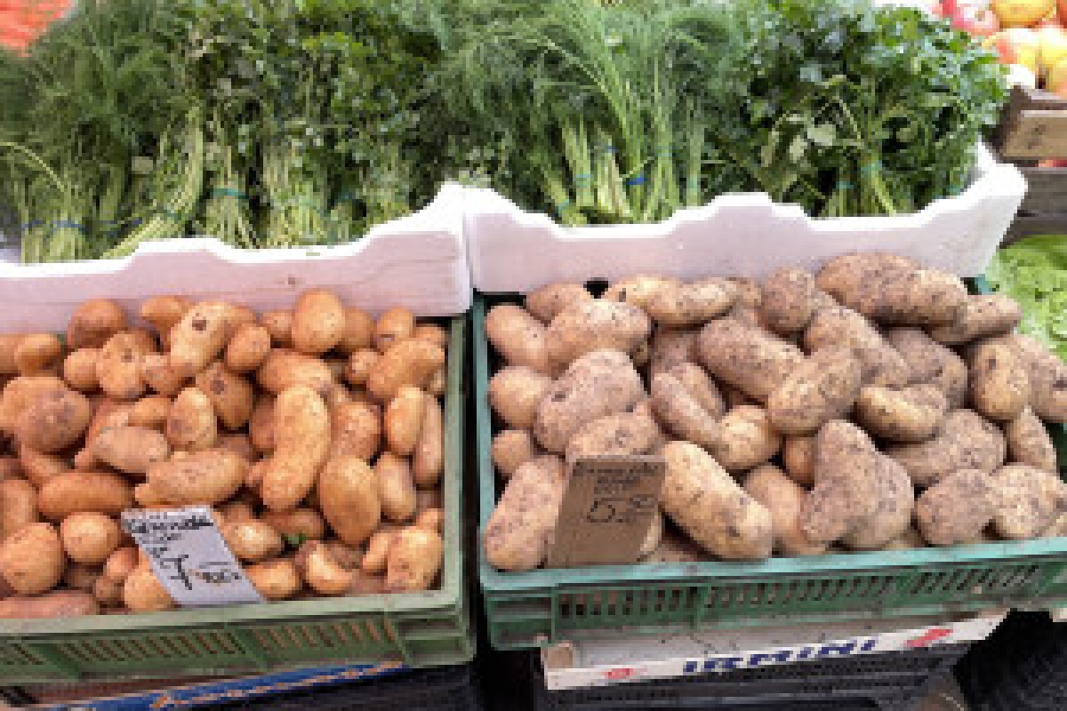 tomatoes cucumbers potatoes market