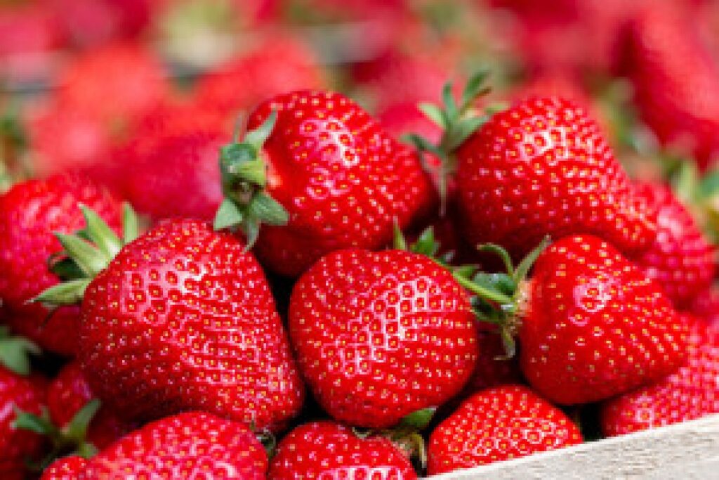 fresh strawberries market