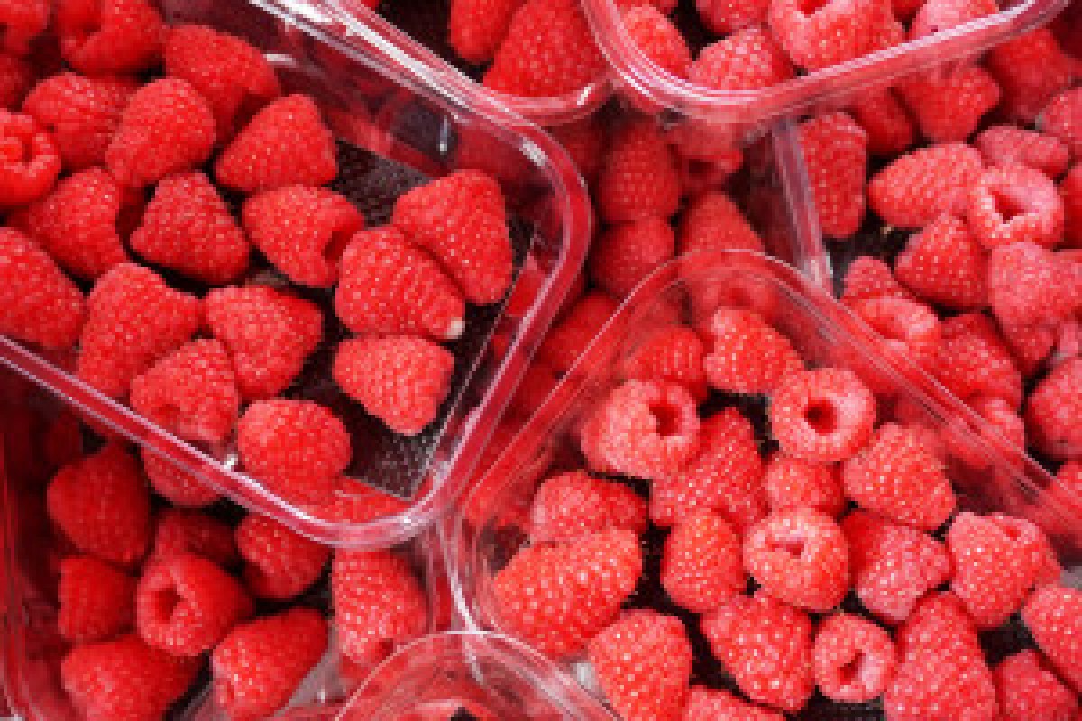 fresh raspberries market