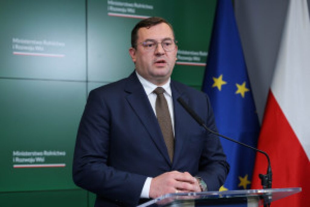 potato field harvest