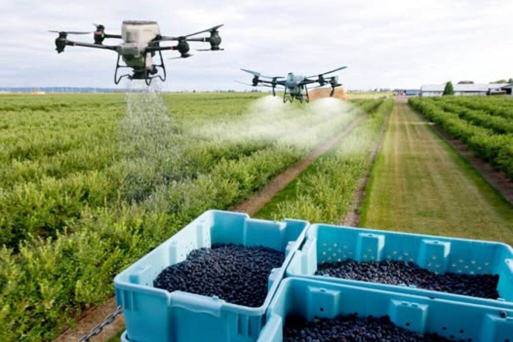 agricultural drone spraying