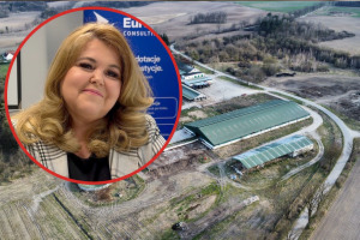 farmers protest tractors