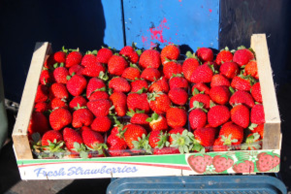strawberries market basket