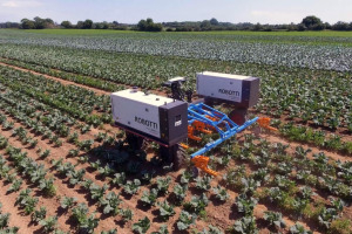 autonomous agricultural robot field
