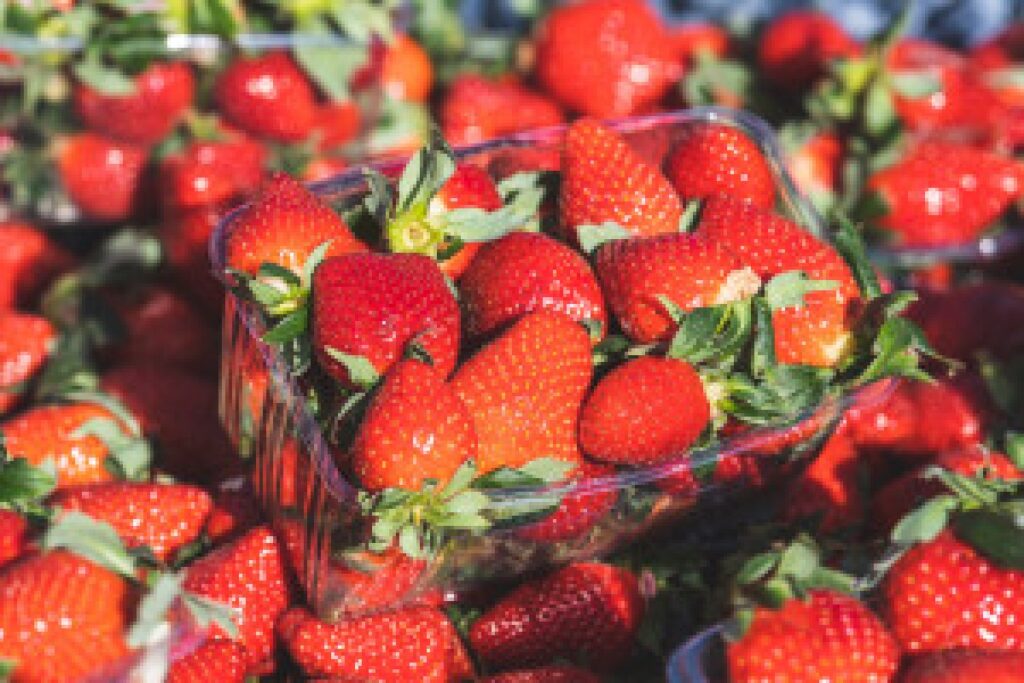 fresh strawberries market