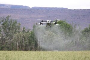 agricultural drone spraying