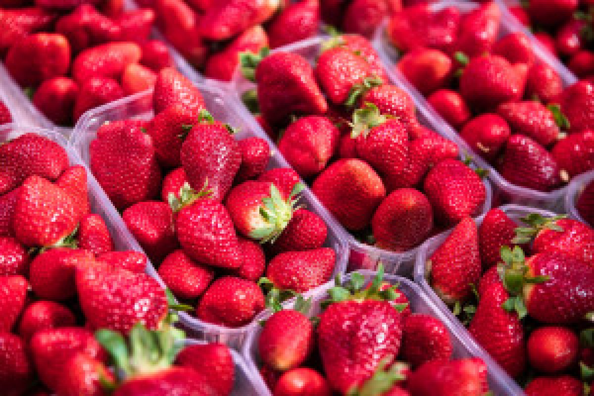 fresh strawberries basket