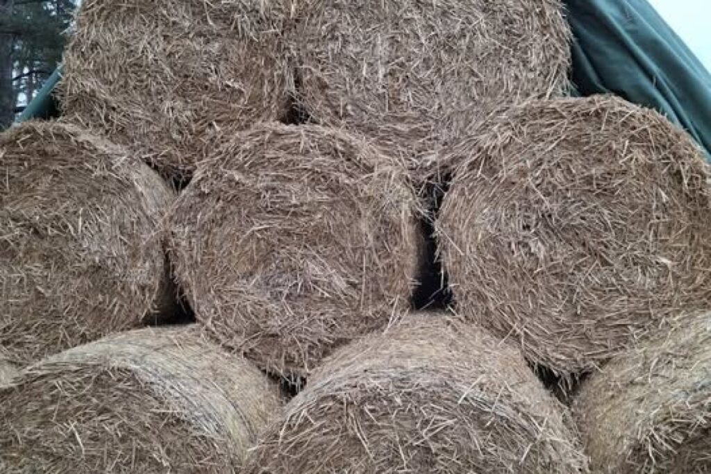 straw bales