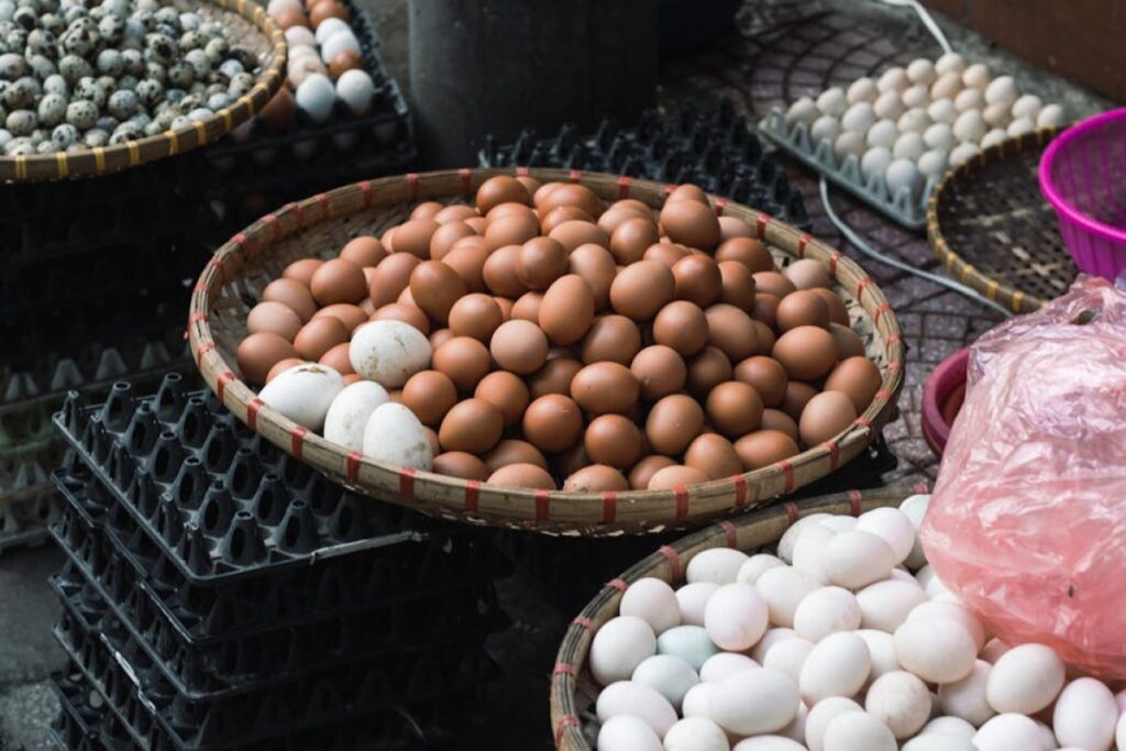 chicken eggs export