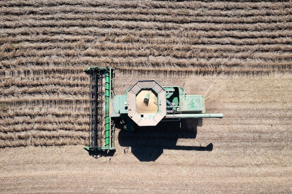 agriculture economist interview