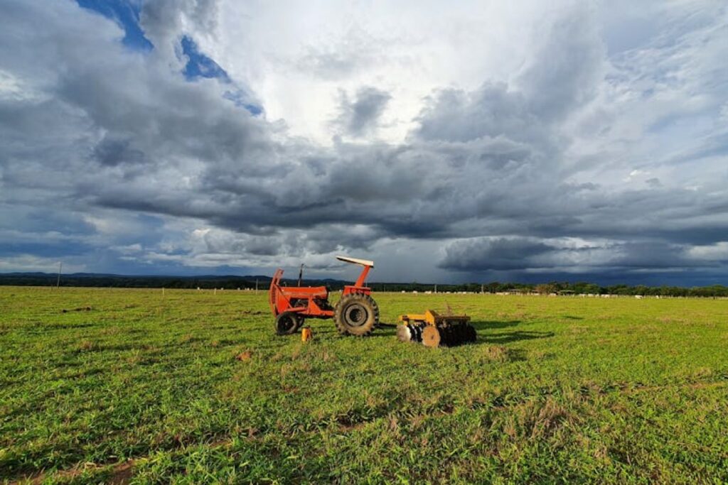 tractor auction field