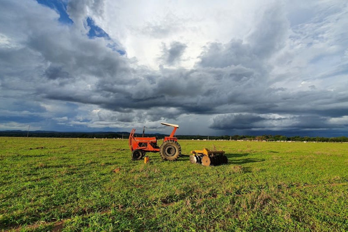 tractor auction field