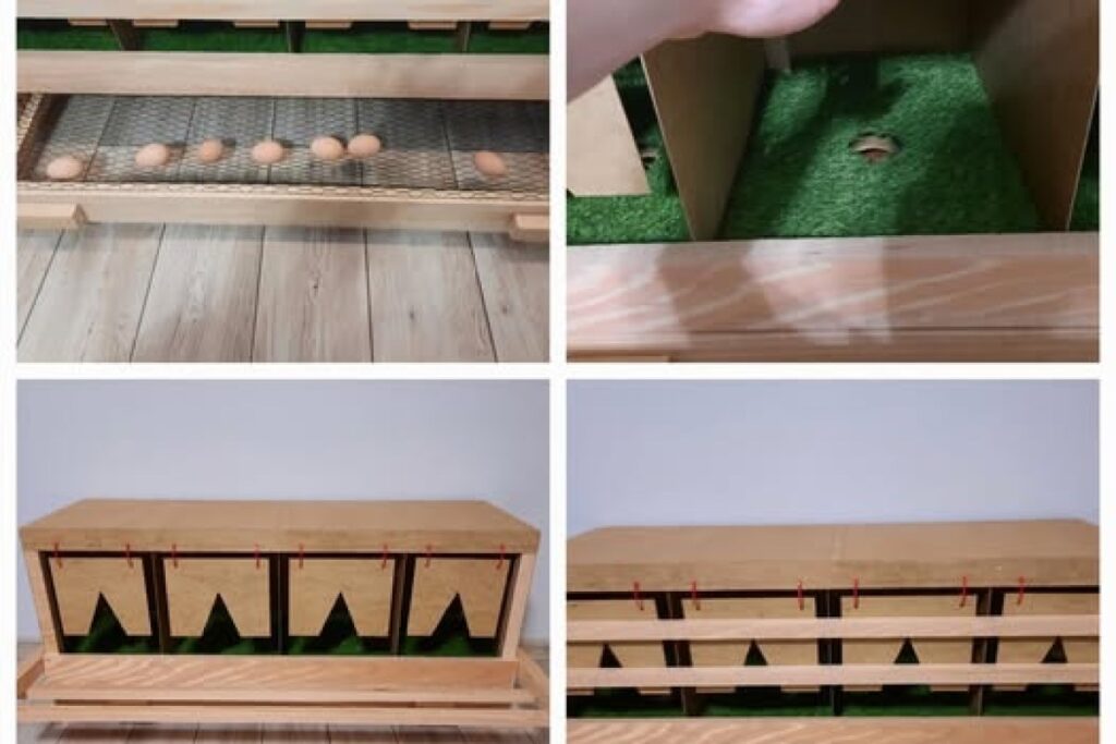chicken nesting box
