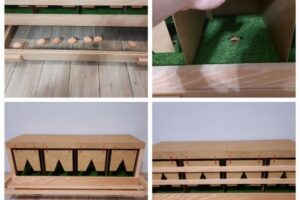 chicken nesting box