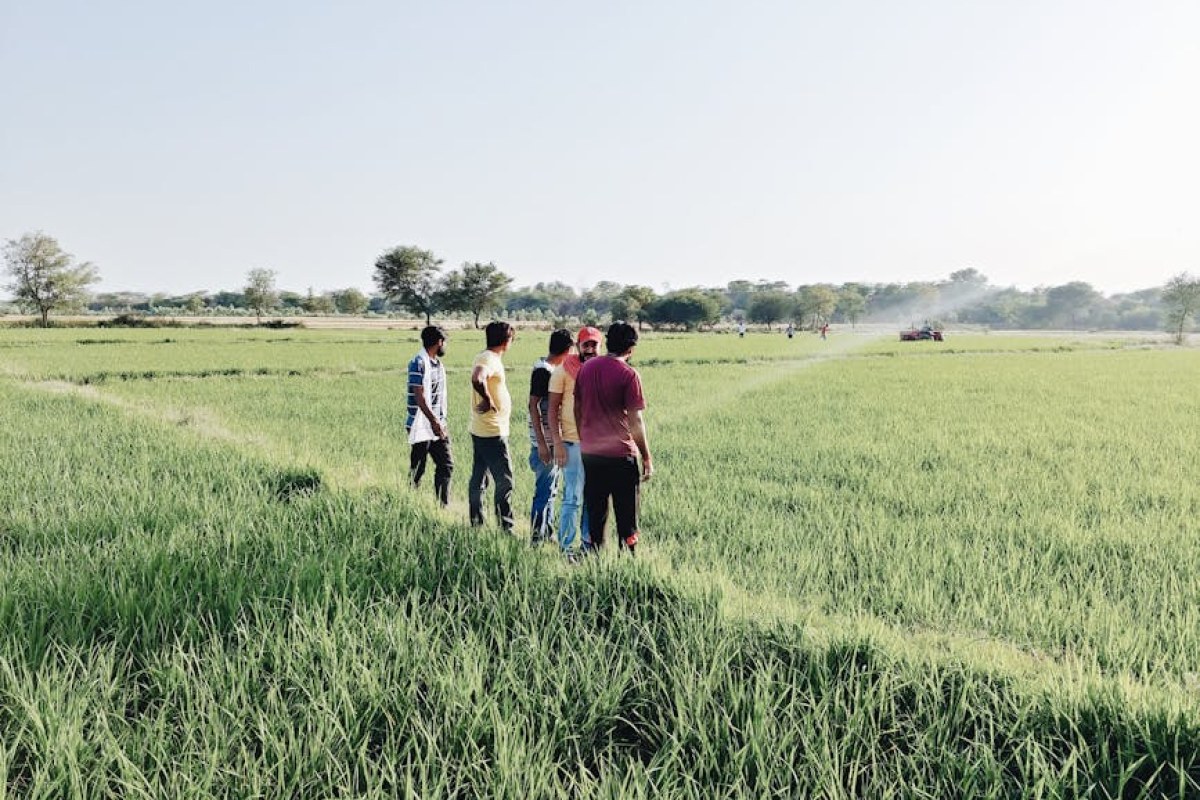 farm inspection field