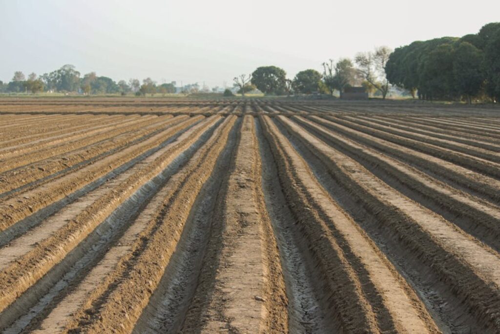agricultural cultivator
