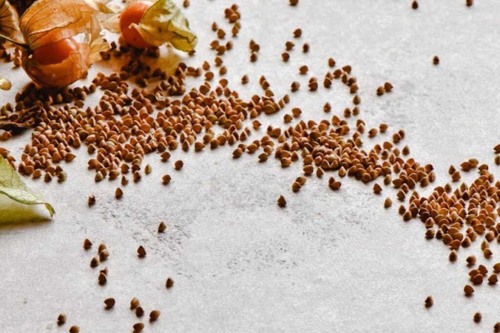 buckwheat seeds