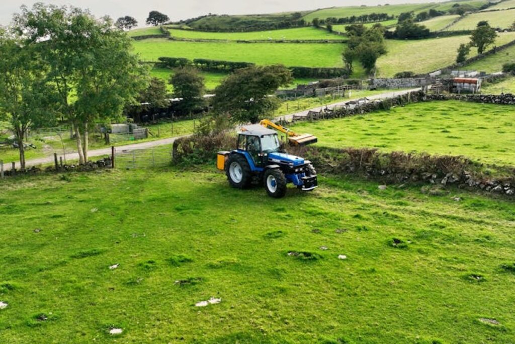 agricultural hay rake