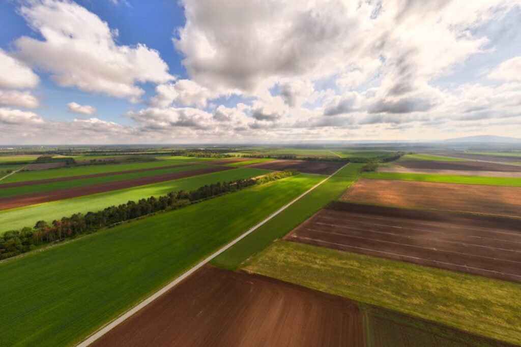 agricultural field landscape