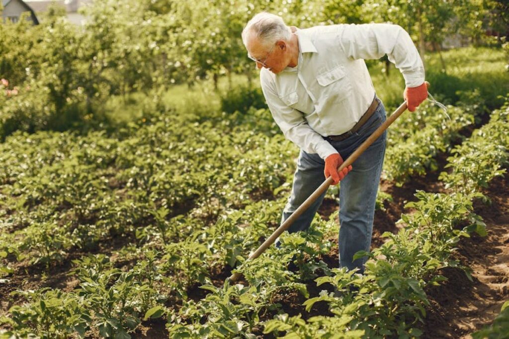 agricultural rake
